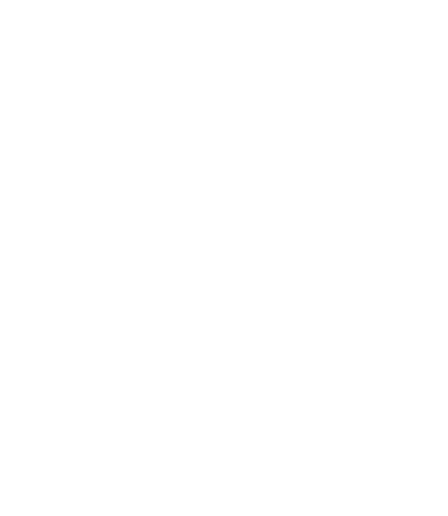 lost boy era logo